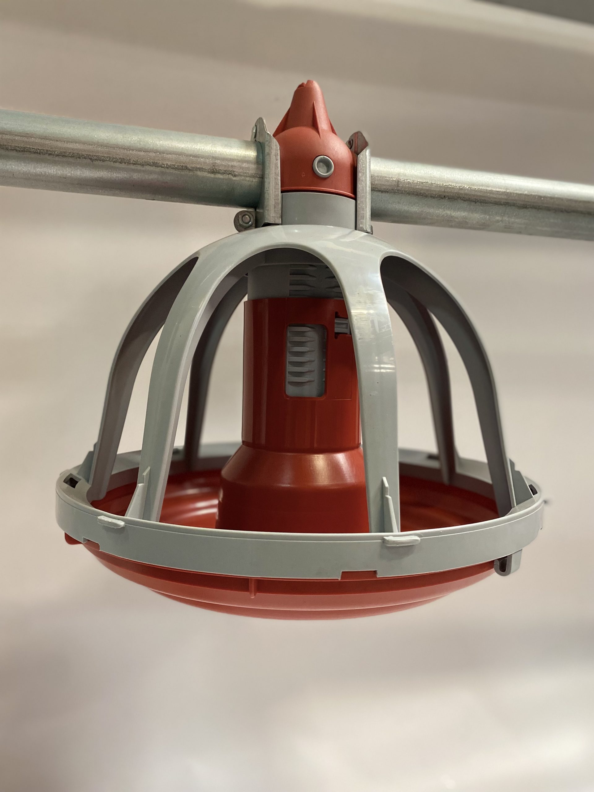 Automatic feeding system for roosters