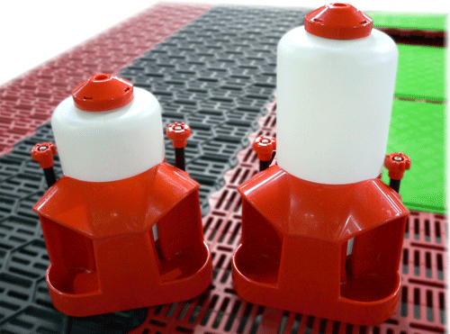 Abreuvoir BIBO pour porcelets