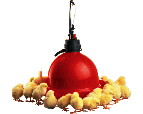 Abeurador integral T60