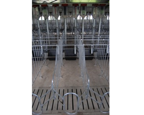 Cage de gestation