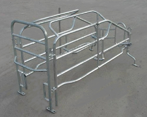 Jaula maternidad americana