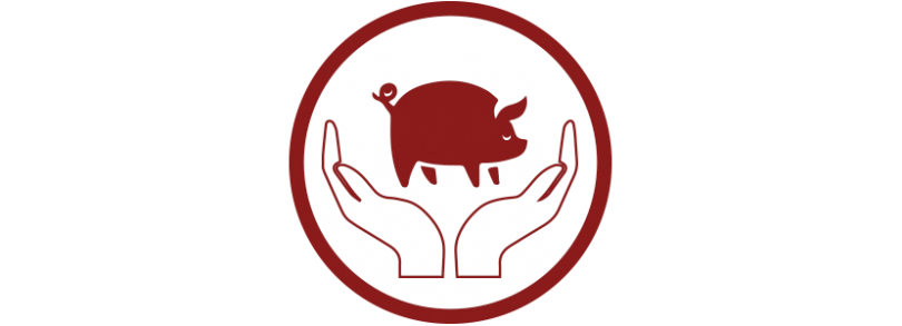 Plataforma bienestar