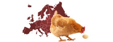 producción huevos europa