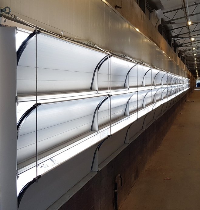 TUNNEL vents