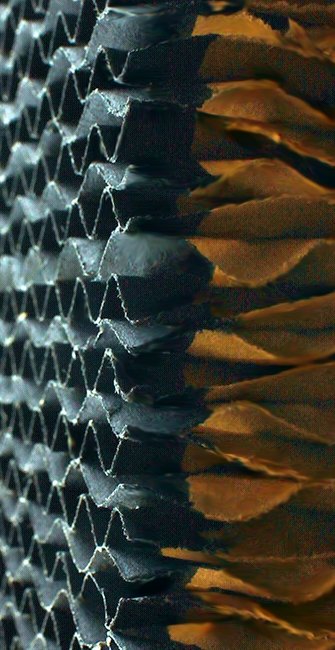 Cellulose evaporative panels