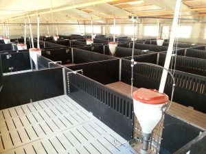 Sistema alimentación porcina