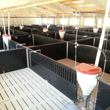 Sistema alimentación porcina