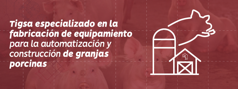 Equipos para granja porcina