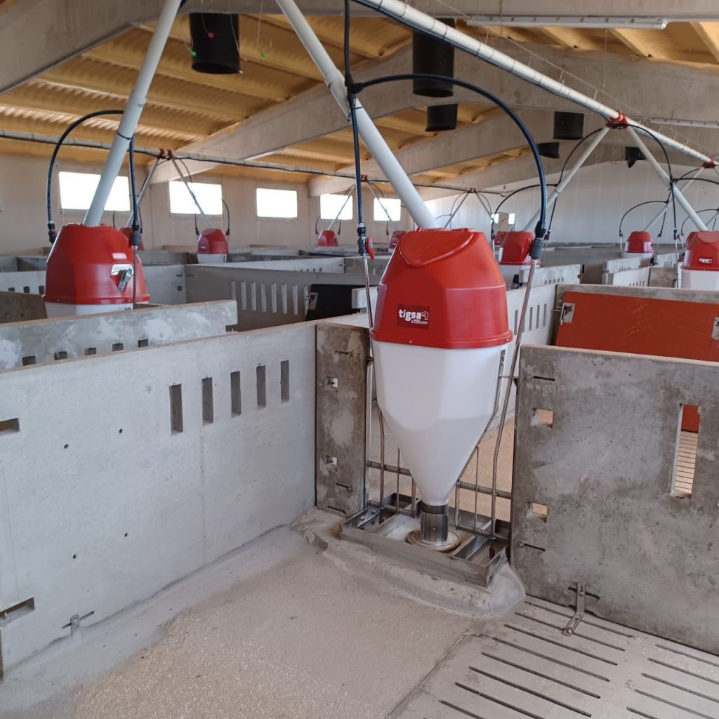 Comedero porcino seco Bifood+ engorde